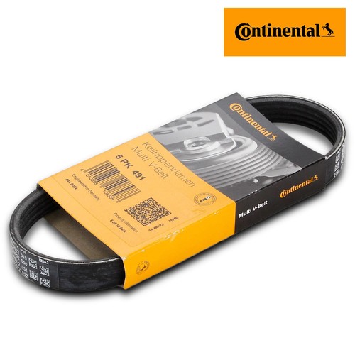 Continental 5pk491 - continental,