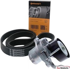 CONTINENTAL Keilrippenriemen