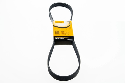 Keilrippenriemen contitech - keilrippenriemen,